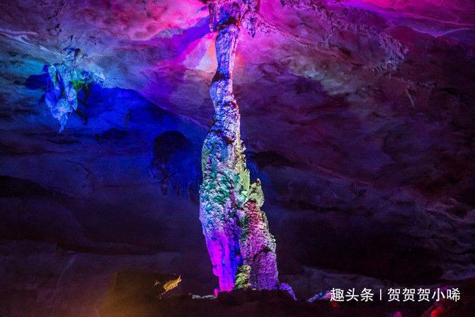 全民烧脑3去广告版