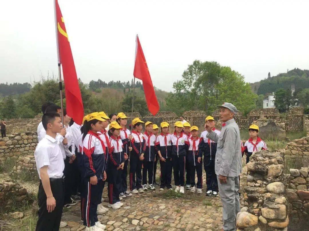 兔子是哺乳动物吗游戏画面